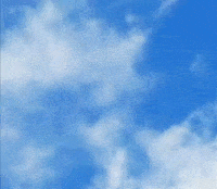 Directorio En Línea